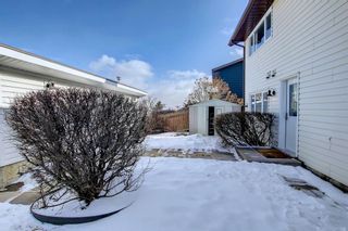 Photo 33: 11 Beaconsfield Place NW in Calgary: Beddington Heights Detached for sale : MLS®# A1191581