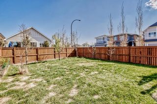 Photo 44: 46 Cranbrook Cove SE in Calgary: Cranston Detached for sale : MLS®# A2082002