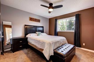 Photo 12: 343 Copperfield Heights SE in Calgary: Copperfield Detached for sale : MLS®# A2067320