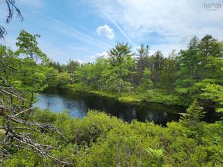 Photo 10: Lot 14 Virginia Road in West Springhill: Annapolis County Vacant Land for sale (Annapolis Valley)  : MLS®# 202400079