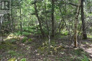 Photo 37: Lot 1 Blue Rocks Road in Garden Lots: Vacant Land for sale : MLS®# 202313149