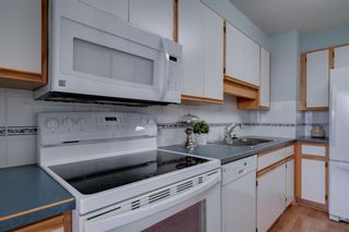Photo 15: 1502 330 26 Avenue SW in Calgary: Mission Apartment for sale : MLS®# A1169365