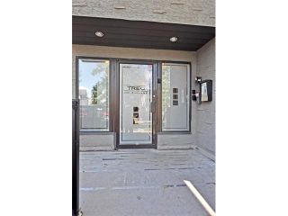 Photo 3: 302 333 5 Avenue NE in Calgary: Crescent Heights Condo for sale : MLS®# C4024075