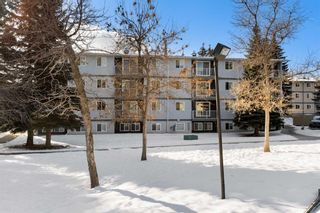 Main Photo: 301C 5601 Dalton Drive NW in Calgary: Dalhousie Apartment for sale : MLS®# A2110043