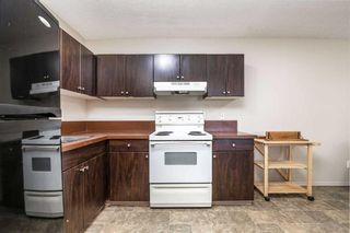 Photo 28: 101-304 6821 59 Avenue: Red Deer Apartment for sale : MLS®# A2145533
