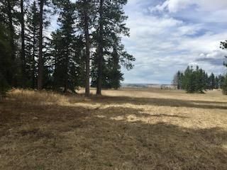 Photo 10: 33054 Range Road 51: Rural Mountain View County Residential Land for sale : MLS®# A2032085