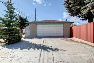 Photo 39: 2002 44 Street SE in Calgary: Forest Lawn Detached for sale : MLS®# A1222886