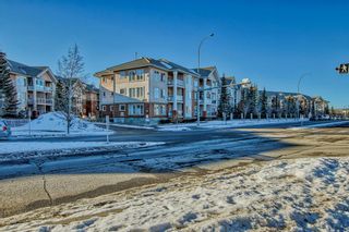 Photo 44: 259 223 Tuscany Springs Boulevard NW in Calgary: Tuscany Apartment for sale : MLS®# A2020505