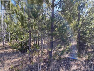 Photo 19: Lot B LONE BUTTE HORSE LAKE ROAD in 100 Mile House: Vacant Land for sale : MLS®# R2870362