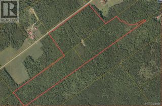 Photo 2: -- 730 Route in Pomeroy Ridge: Vacant Land for sale : MLS®# NB087048