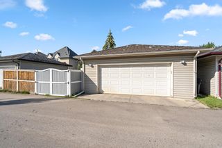 Photo 38: 146 Elgin Way SE in Calgary: McKenzie Towne Detached for sale : MLS®# A2004557