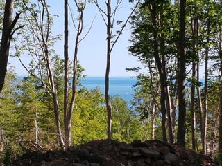 Main Photo: 2541 Broad Cove Road in Bay View: Digby County Vacant Land for sale (Annapolis Valley)  : MLS®# 202312775