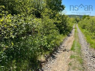 Photo 3: 15 acres Brookville Branch in Brookville: 108-Rural Pictou County Vacant Land for sale (Northern Region)  : MLS®# 202213274