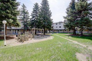 Photo 31: 56 3705 Fonda Way SE in Calgary: Forest Heights Row/Townhouse for sale : MLS®# A2053555