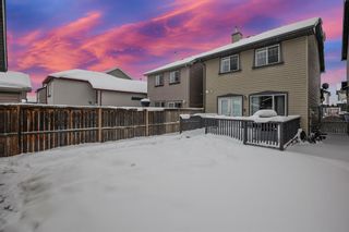 Photo 30: 22 Prestwick Place SE in Calgary: McKenzie Towne Detached for sale : MLS®# A2029398