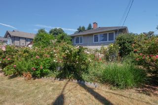 Photo 20: 2864 Dean Ave in Saanich: SE Camosun House for sale (Saanich East)  : MLS®# 879497
