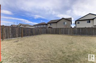 Photo 4: 2915 17 Avenue in Edmonton: Zone 30 House Half Duplex for sale : MLS®# E4385281