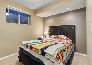 Photo 40: 347 MT APEX Green SE in Calgary: McKenzie Lake Detached for sale : MLS®# A1231848