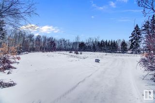 Photo 35: 48534 RGE RD 240: Rural Leduc County House for sale : MLS®# E4321396