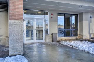 Photo 3: 1013 8880 Horton Road SW in Calgary: Haysboro Apartment for sale : MLS®# A1171744
