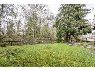 Photo 18: 12471 231ST Street in Maple Ridge: East Central House for sale : MLS®# R2156595