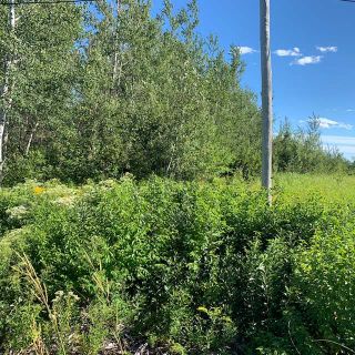 Photo 1: Lot 3 South Shore Road in Malagash: 103-Malagash, Wentworth Vacant Land for sale (Northern Region)  : MLS®# 202018772