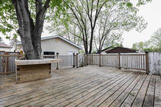 Photo 41: 150 Wynford Drive in Winnipeg: Canterbury Park Residential for sale (3M)  : MLS®# 202212472