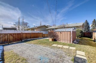 Photo 43: 11 Maryvale Place NE in Calgary: Marlborough Detached for sale : MLS®# A1207159