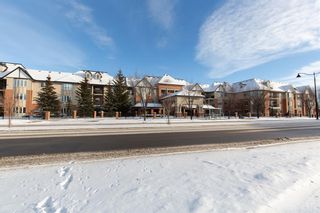 Photo 36: 2135 48 Inverness Gate SE in Calgary: McKenzie Towne Apartment for sale : MLS®# A2014836