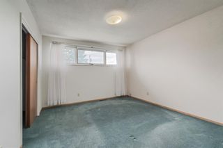 Photo 14: 5612 Travis Street NE in Calgary: Thorncliffe Detached for sale : MLS®# A1257351