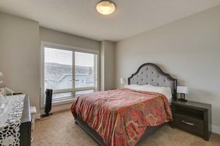 Photo 12: 314 1899 45 Street NW in Calgary: Montgomery Apartment for sale : MLS®# A2130571