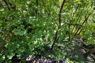 Photo 23: 40A Summerhill Gardens in Toronto: Rosedale-Moore Park House (Other) for lease (Toronto C09)  : MLS®# C7317954