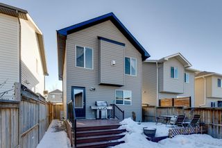 Photo 27: 404 Cranberry Circle SE in Calgary: Cranston Detached for sale : MLS®# A2021203
