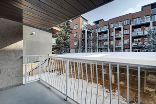 Photo 17: 109 835 19 Avenue SW in Calgary: Lower Mount Royal Apartment for sale : MLS®# A2053812