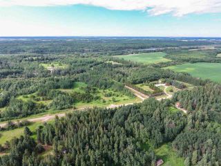 Photo 11: Pinebrook Block 1 Lot 2: Rural Thorhild County Rural Land/Vacant Lot for sale : MLS®# E4171871