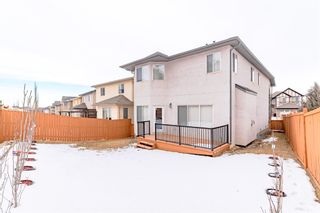 Photo 49: 53 Sherwood Circle NW in Calgary: Sherwood Detached for sale : MLS®# A2024286
