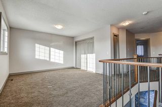 Photo 24: 36 ROYAL HIGHLAND Court NW in Calgary: Royal Oak Detached for sale : MLS®# A1029258
