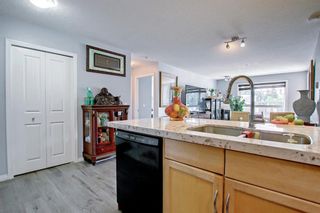 Photo 14: 124 8200 4 Street NE in Calgary: Beddington Heights Apartment for sale : MLS®# A2017788