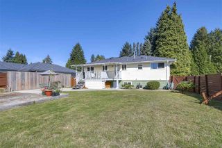 Photo 15: 14764 109A Avenue in Surrey: Bolivar Heights House for sale (North Surrey)  : MLS®# R2208569