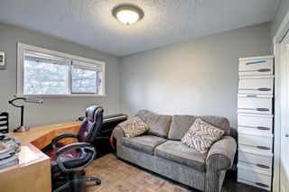 Photo 16: 4614 70 Street in Calgary: Bowness Detached for sale : MLS®# A1193841