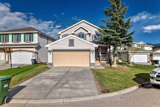 Main Photo: 258 citadel meadow Grove NW in Calgary: Citadel Detached for sale : MLS®# A2133957