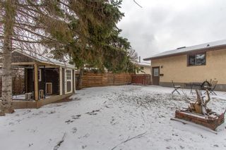Photo 45: 124 Pineland Place NE in Calgary: Pineridge Detached for sale : MLS®# A1206997