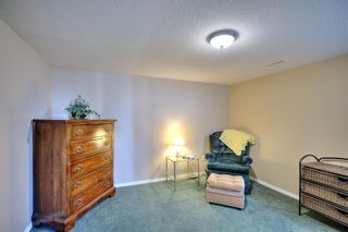 Photo 37: 319 Mt Sparrowhawk Place SE in Calgary: McKenzie Lake Detached for sale : MLS®# A1218013
