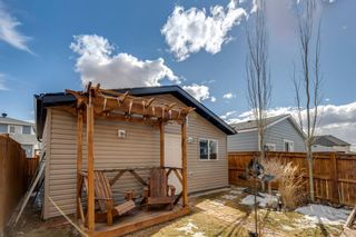 Photo 33: 36 Marquis Green SE in Calgary: Mahogany Detached for sale : MLS®# A1202396