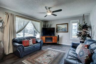 Photo 7: 1312 Penedo Crescent SE in Calgary: Penbrooke Meadows Detached for sale : MLS®# A1220258