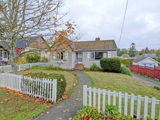 Photo 16: 3761 Saanich Rd in VICTORIA: SE Swan Lake House for sale (Saanich East)  : MLS®# 773193