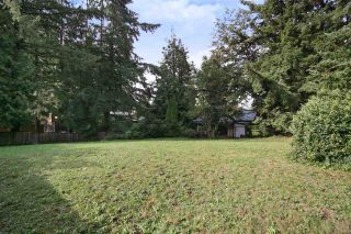 Photo 11: 2602 CAMPBELL Avenue in Abbotsford: Central Abbotsford House for sale : MLS®# R2524225