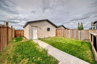 Photo 41: 284 Marquis Heights SE in Calgary: Mahogany Detached for sale : MLS®# A2138420