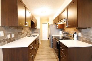 Photo 5: 22 366 94 Avenue SE in Calgary: Acadia Apartment for sale : MLS®# A2121640