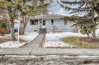 Photo 1: 2005 27 Street SE in Calgary: Southview Detached for sale : MLS®# A2021646